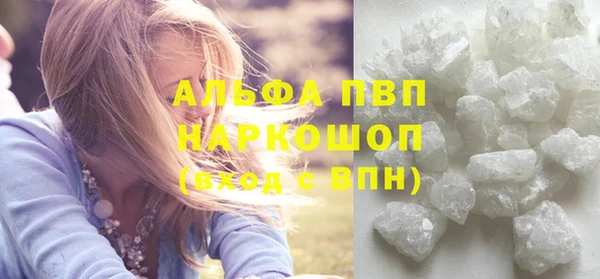 прущие грибы Белоозёрский