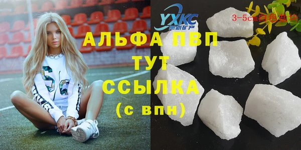 прущие грибы Белоозёрский
