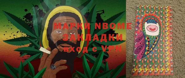 прущие грибы Белоозёрский