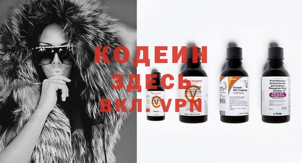 прущие грибы Белоозёрский