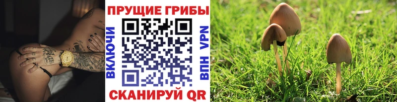 Псилоцибиновые грибы мицелий  наркошоп  Курлово 